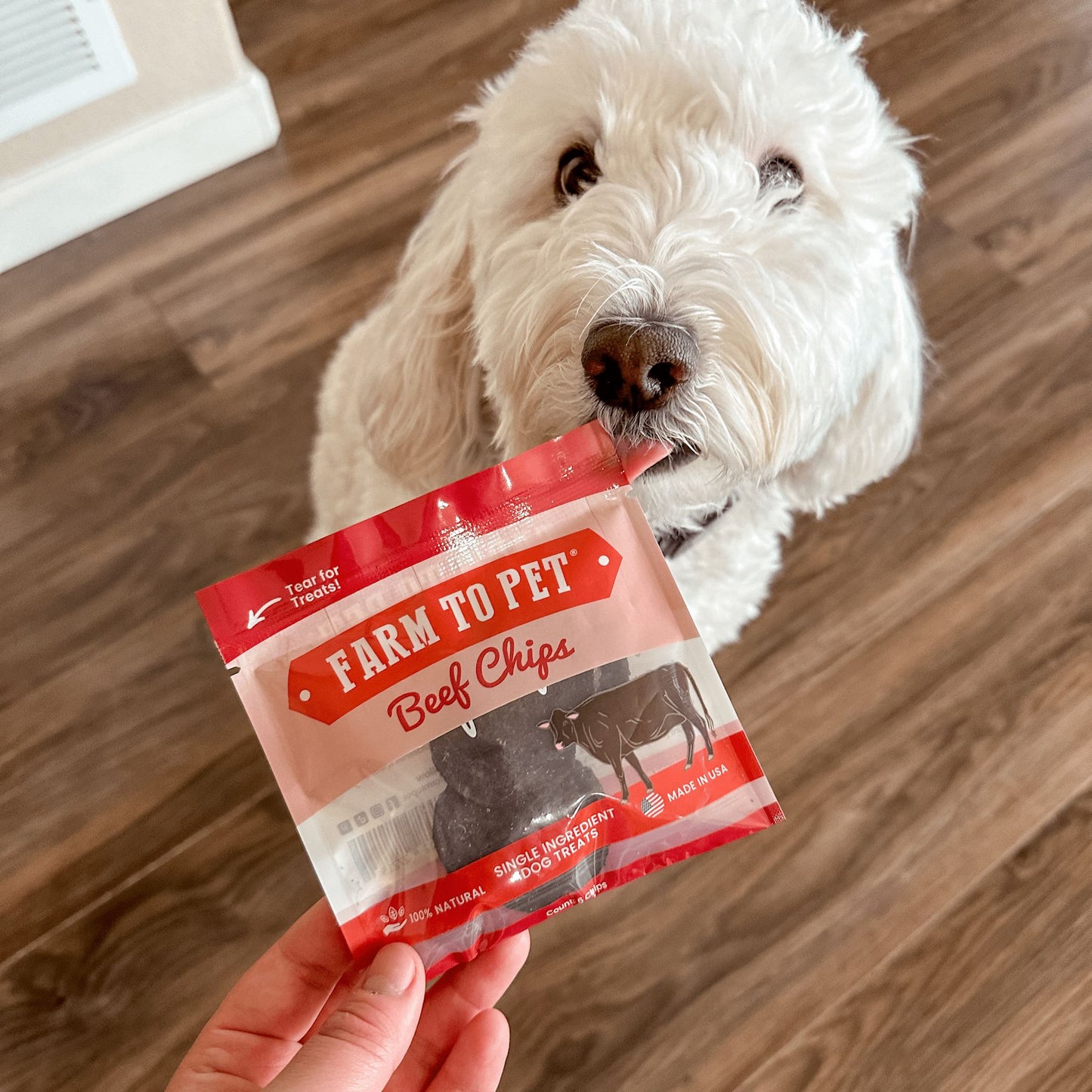 Beef Chip Snack Pack Bundles Chips Farm To Pet
