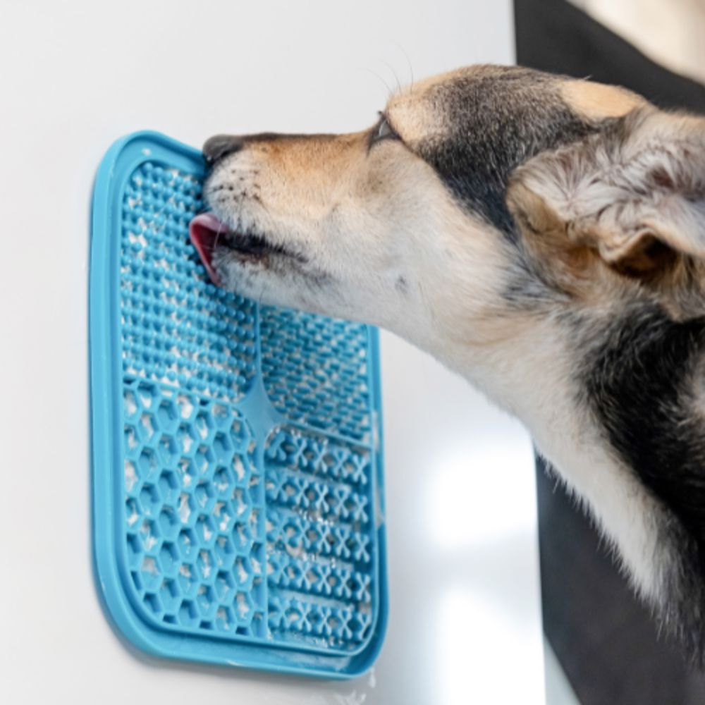 The Calm Mat - Makes Brushing Easier NuewayPets