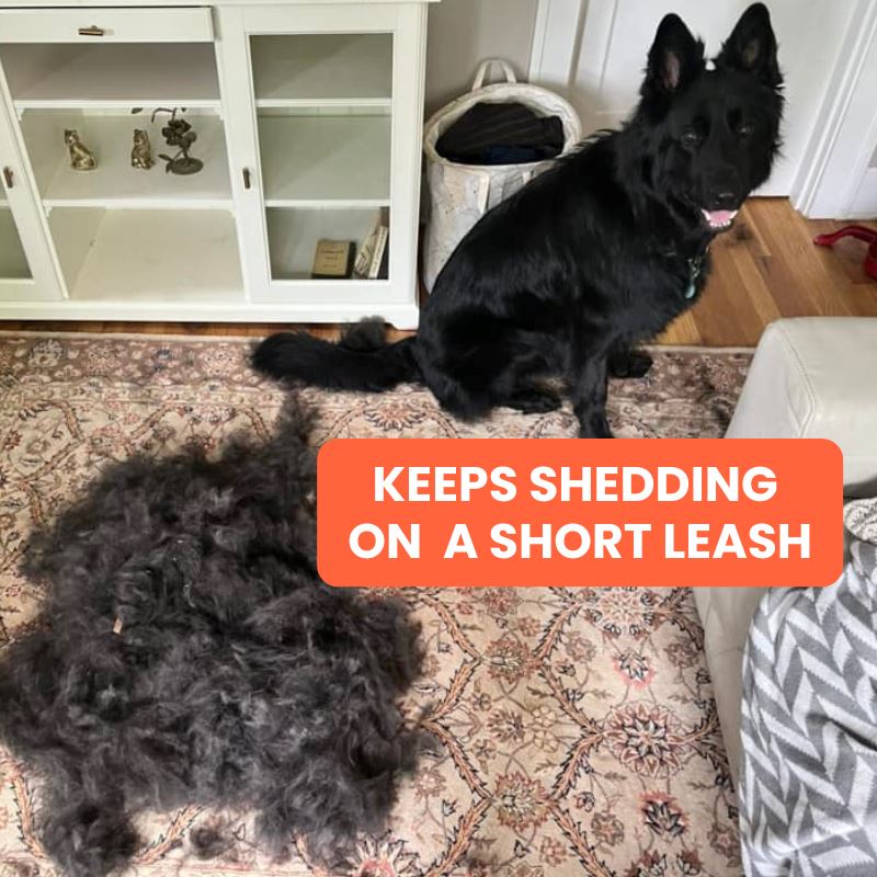The Original FureverBrush® - Pro Grooming Tool - BUY 2 (Upsell) Dog Supplies NuewayPets