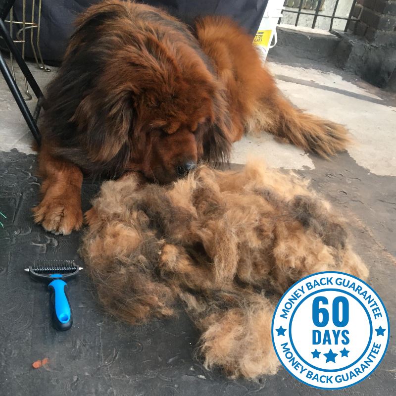 The Original FureverBrush® - Pro Grooming Tool For Cats Dog Supplies NuewayPets