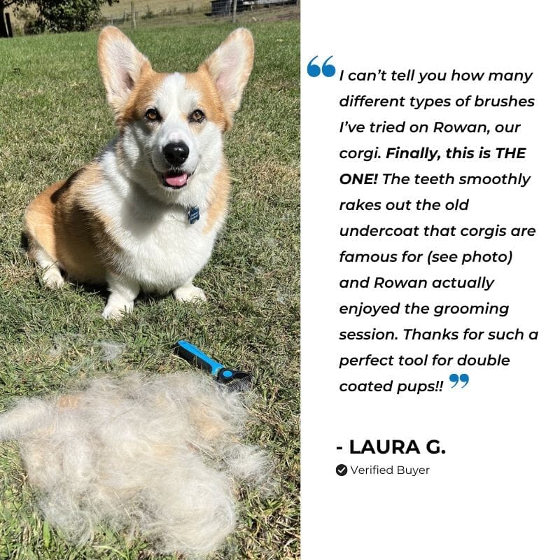 The Original FureverBrush® - Pro Grooming Tool in Pink Dog Supplies NuewayPets