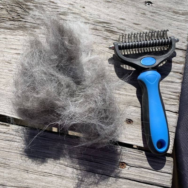 The Original FureverBrush® - Pro Grooming Tool in Pink Dog Supplies NuewayPets