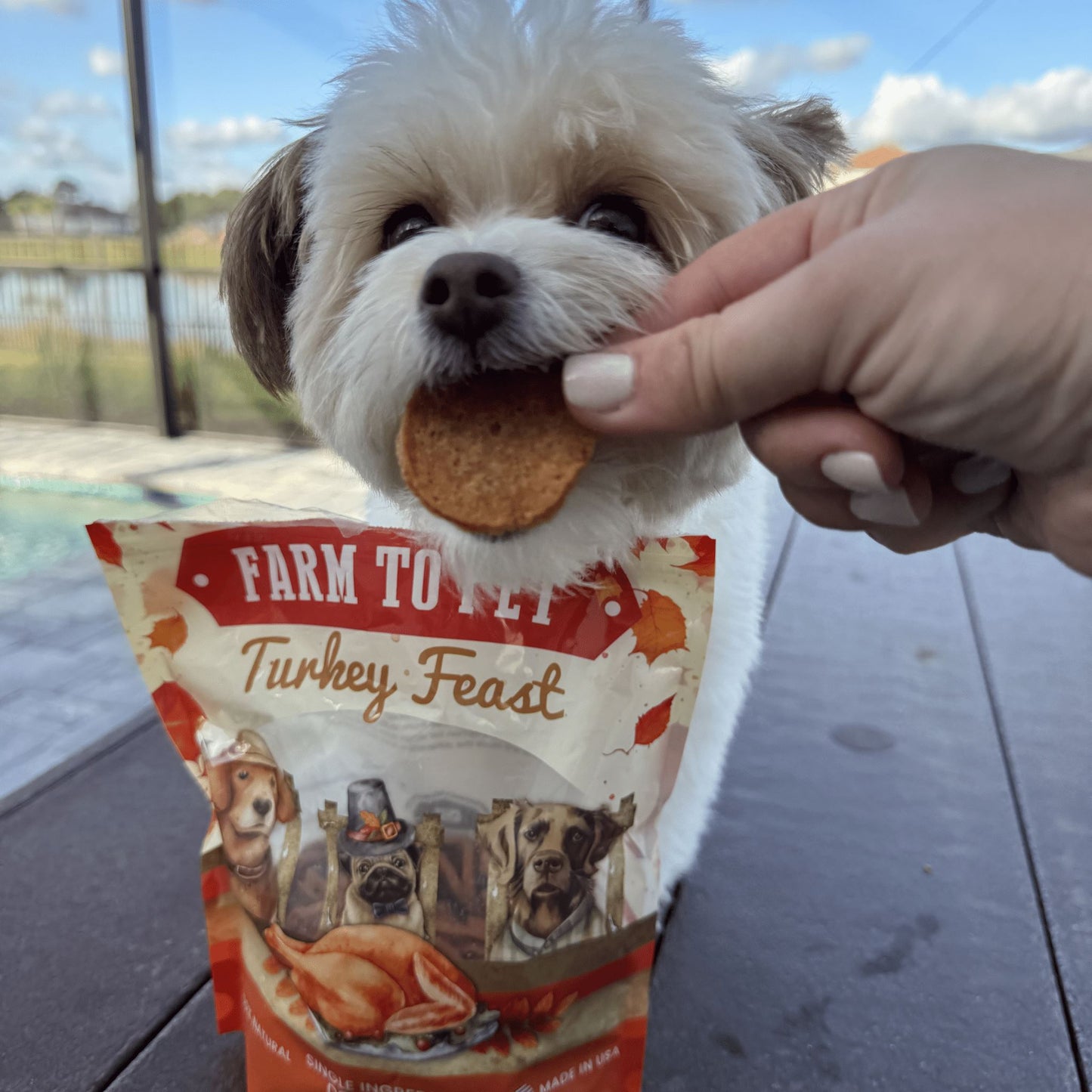 Turkey Feast Chips Chips Farm To Pet