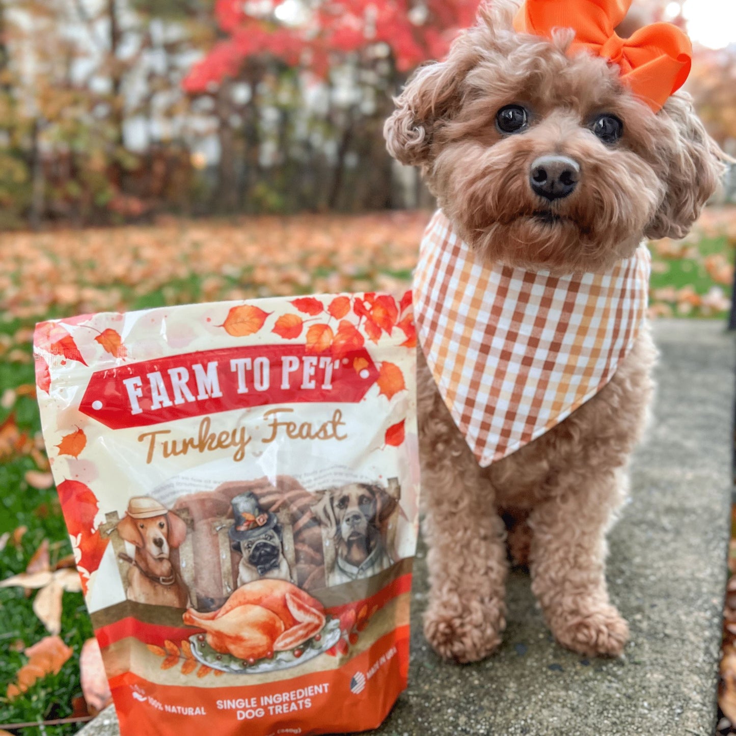 Turkey Feast Chips Chips Farm To Pet