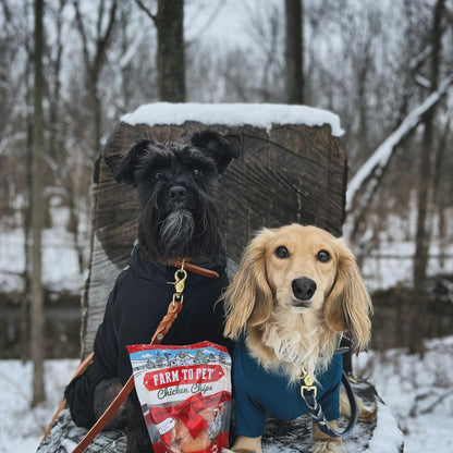 Holiday Chips for Dogs