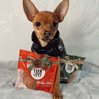 Holiday Snack Packs for Dogs