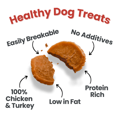 Holiday Chips for Dogs