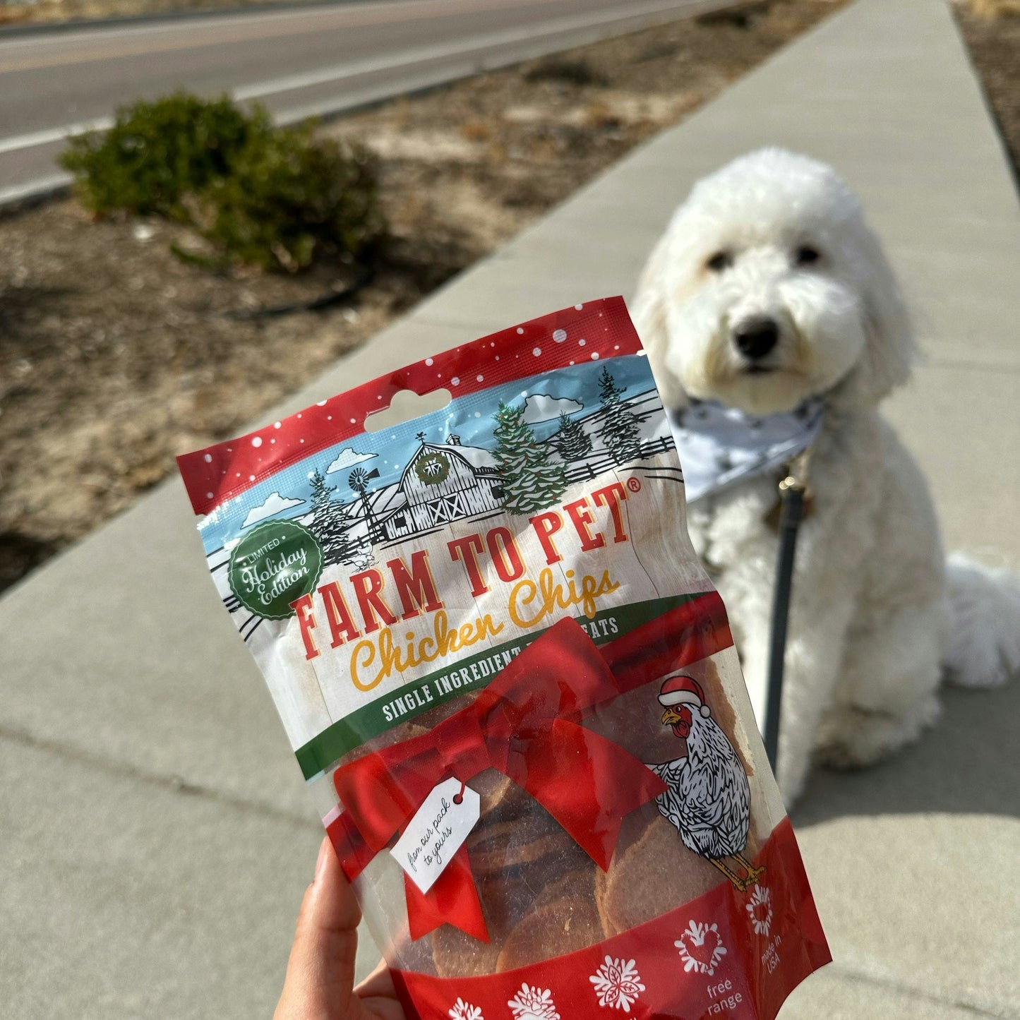 Holiday Chips for Dogs