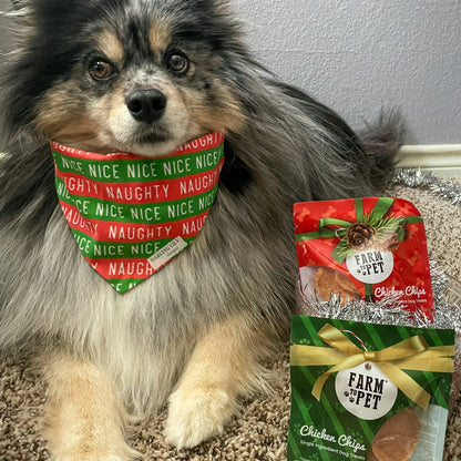 Holiday Snack Packs for Dogs