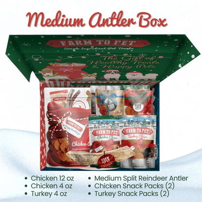 Chipmas Chips 'N Chews Dog Treat Box