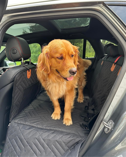 PawDefender™ - Car Seat Cover