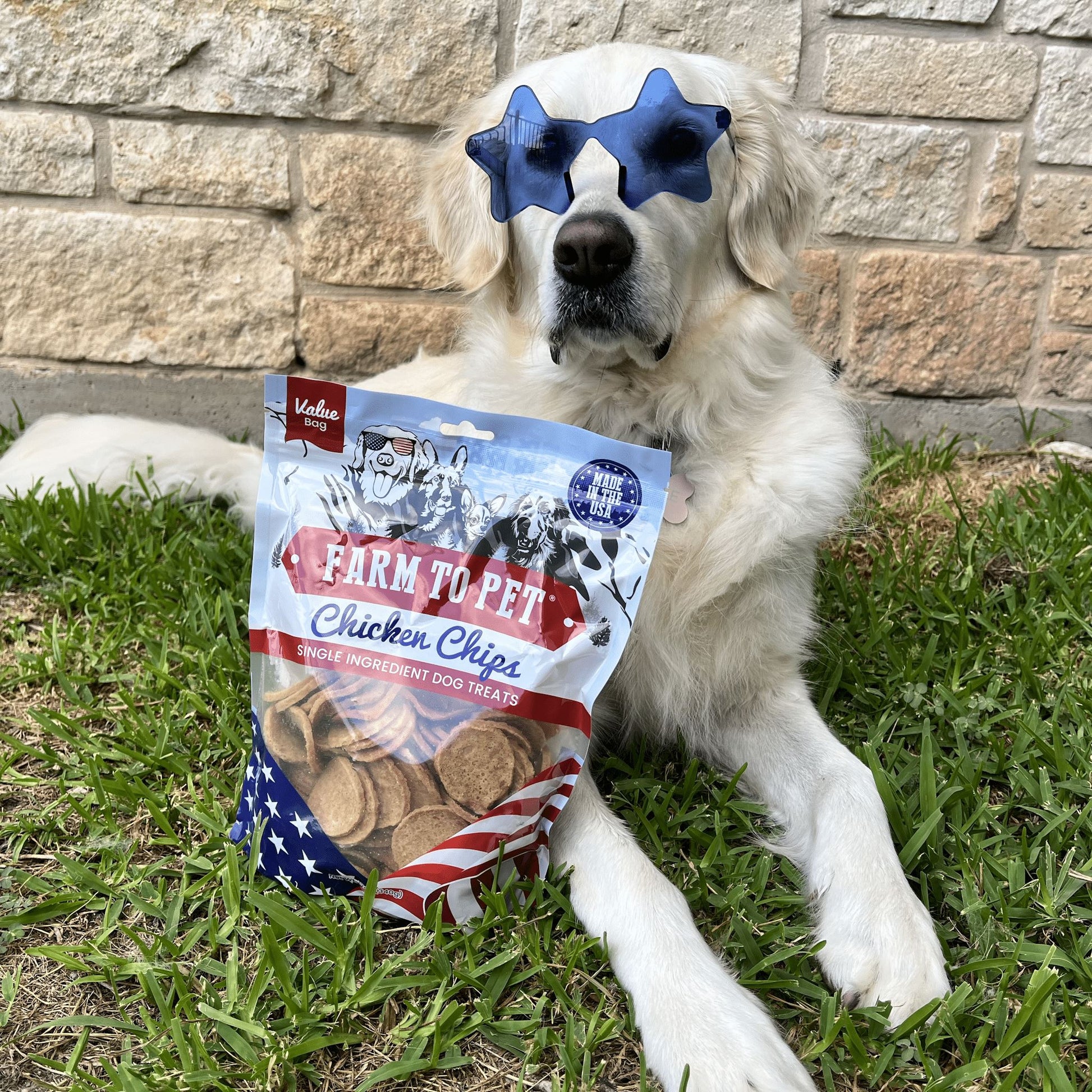 Americana Chicken Chips for Dogs Chips Farm To Pet 