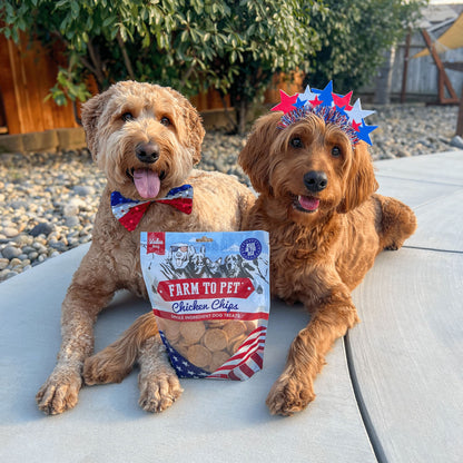 Americana Chicken Chips for Dogs Chips Farm To Pet 