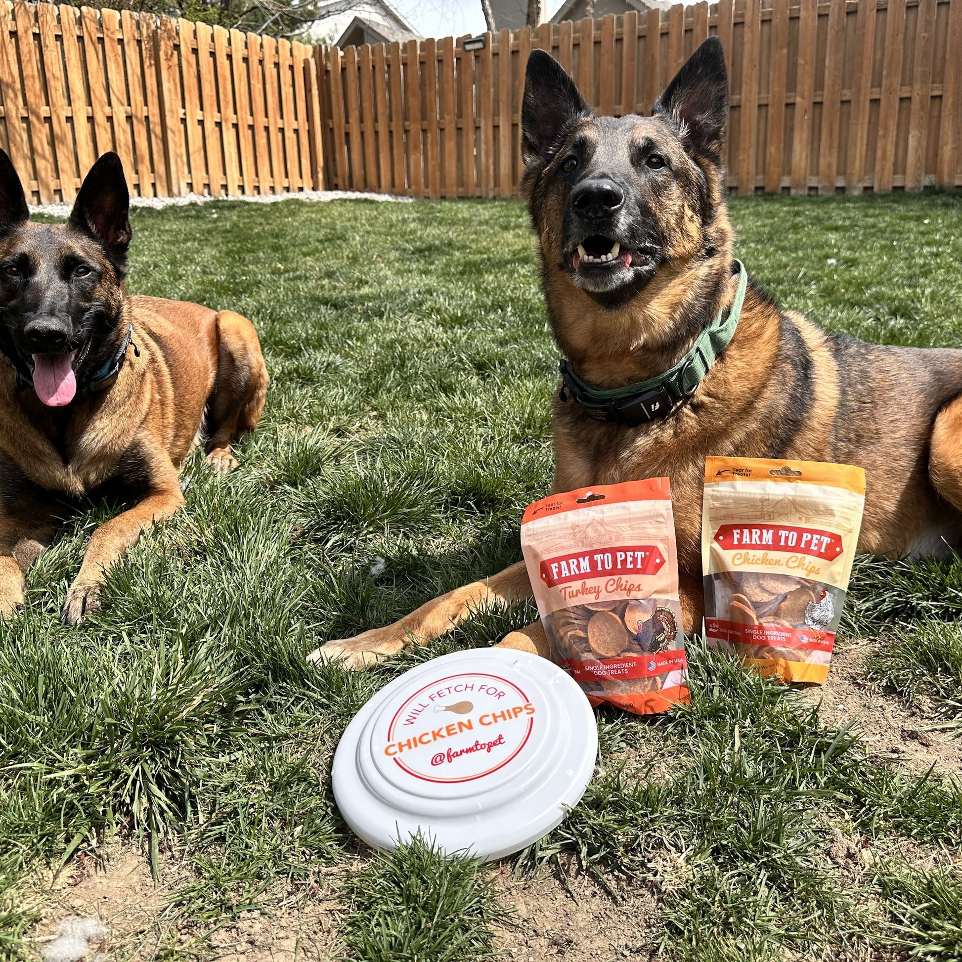 Chicken & Turkey Dog Treat Bundles Chips Farm To Pet 
