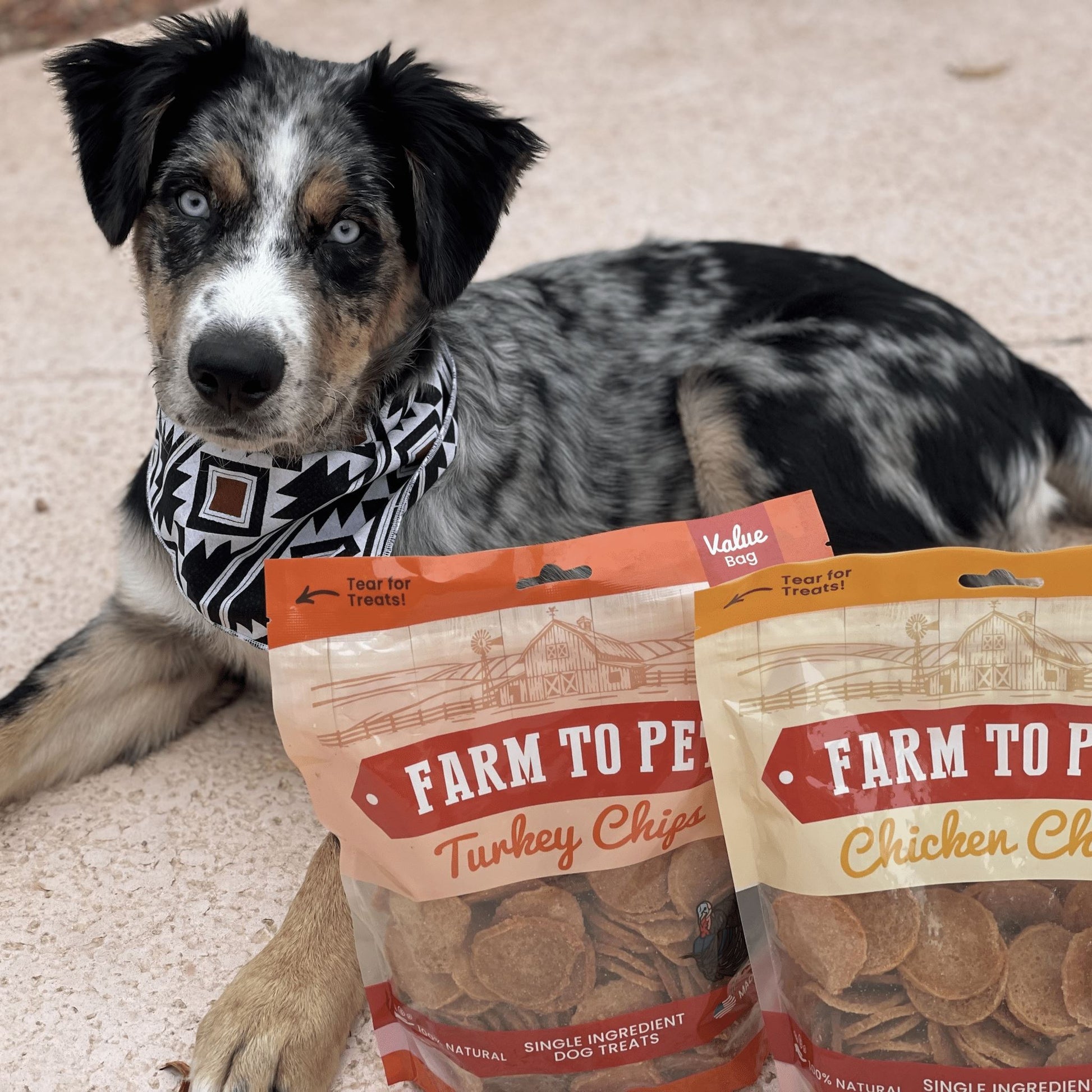 Chicken & Turkey Dog Treat Bundles Chips Farm To Pet 