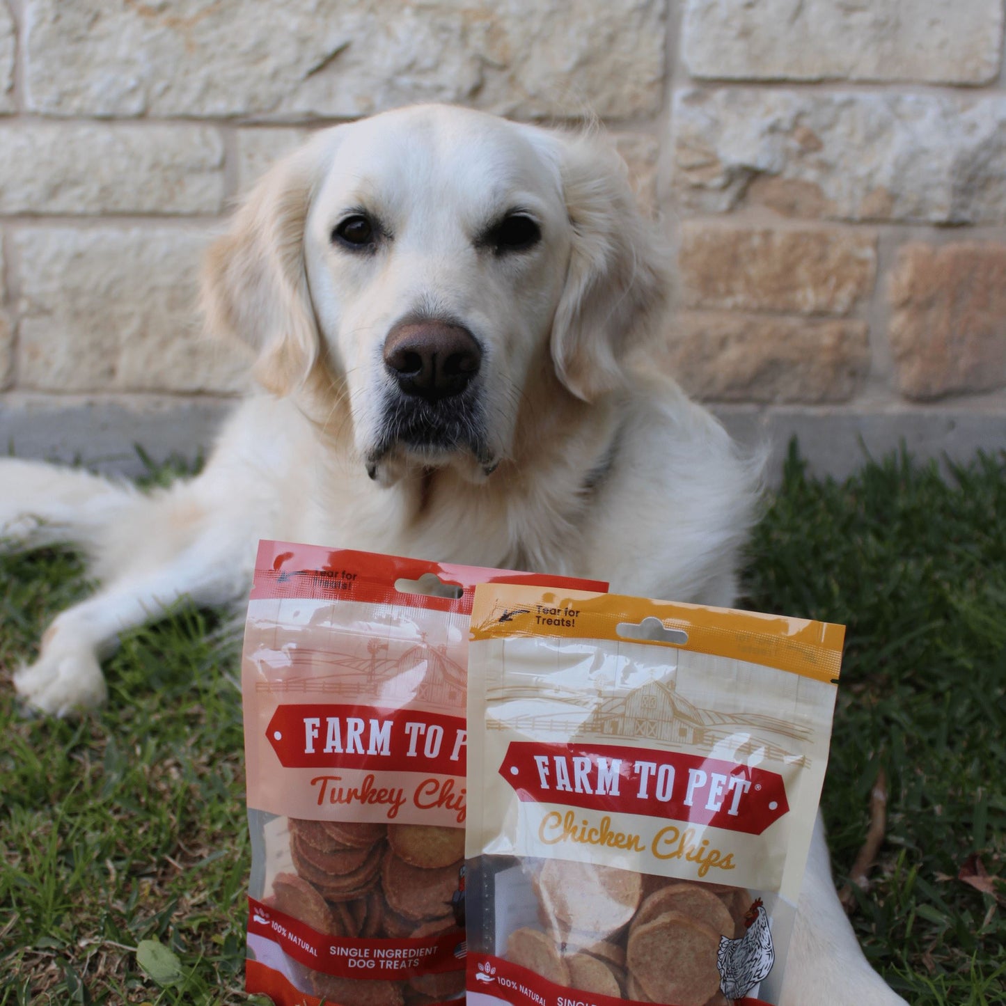 Chicken & Turkey Dog Treat Bundles Chips Farm To Pet 