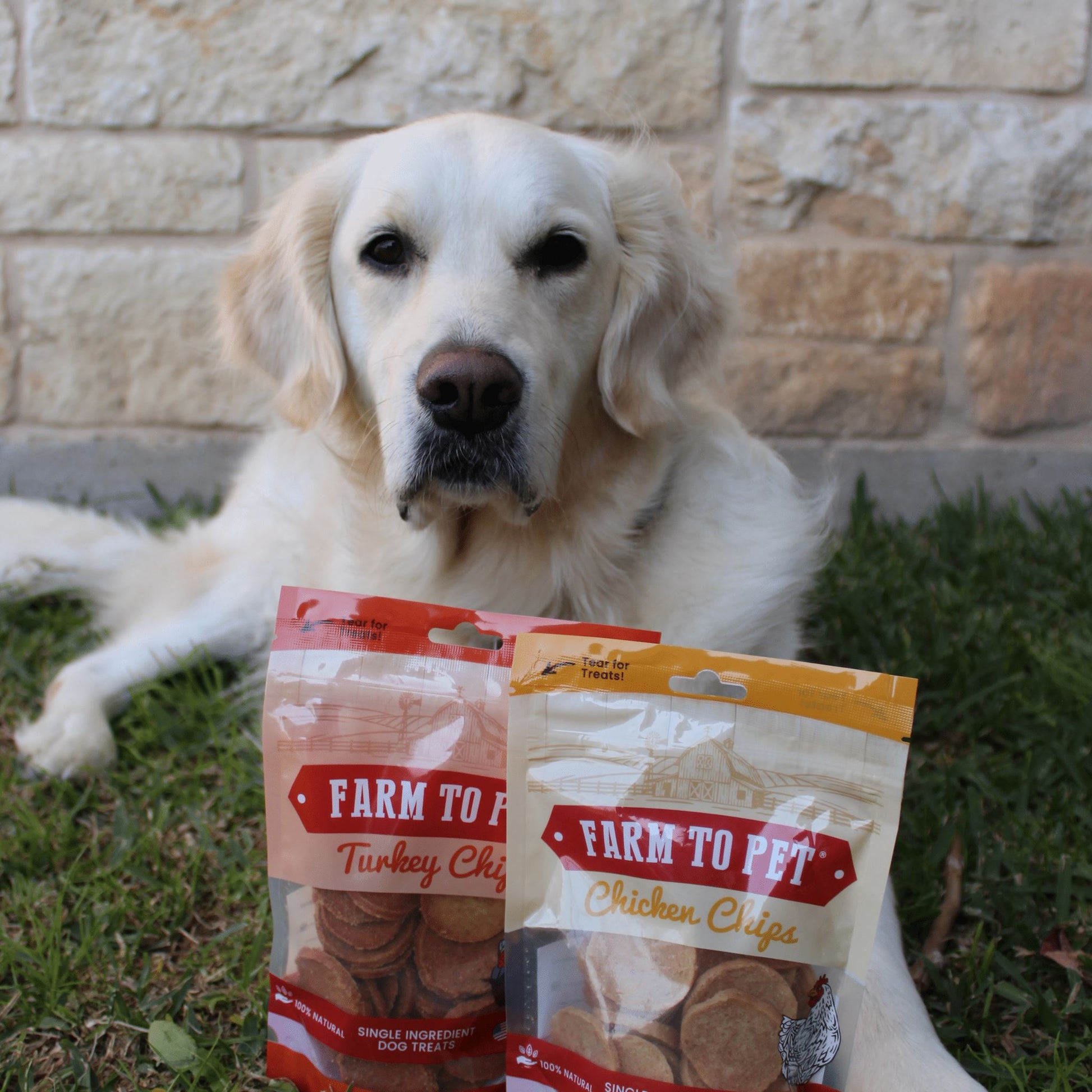 Chicken & Turkey Dog Treat Bundles Chips Farm To Pet 