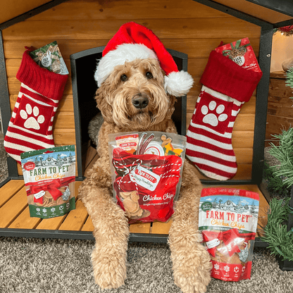 Chipmas Cheer Holiday Dog Treat Box