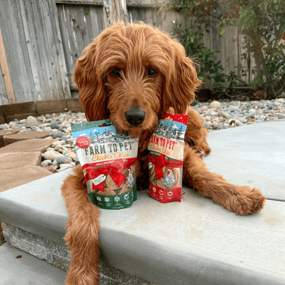 Holiday Chips for Dogs