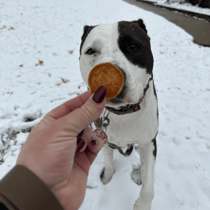 Holiday Snack Packs for Dogs