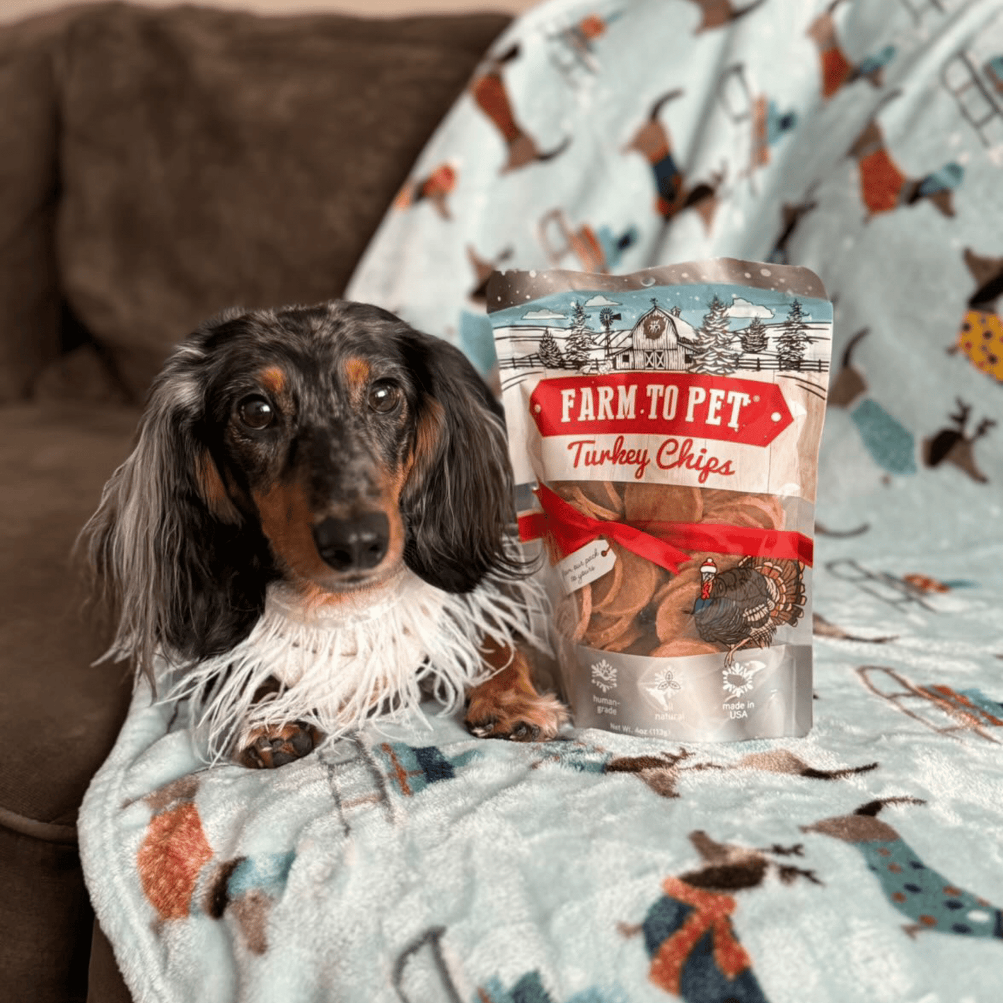 Holiday Chips for Dogs