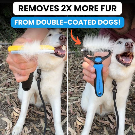 Reduce Shedding With The Original FureverBrush® - Pro Grooming Tool Dog Supplies NuewayPets 