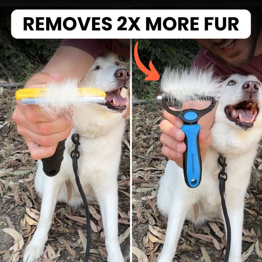 Reduce Shedding With The Original FureverBrush® - Pro Grooming Tool Dog Supplies NuewayPets 