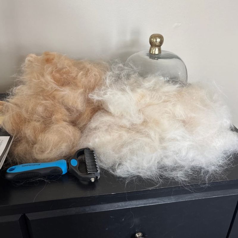 The Original FureverBrush® - Pro Grooming Tool Dog Supplies NuewayPets 