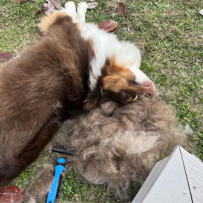 The Original FureverBrush® - Pro Grooming Tool Dog Supplies NuewayPets 