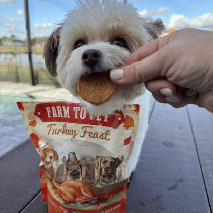 Turkey Feast Chips Chips Farm To Pet 