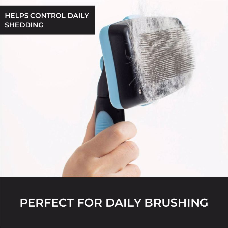 The EverydayBrush - Pro Grooming Tool